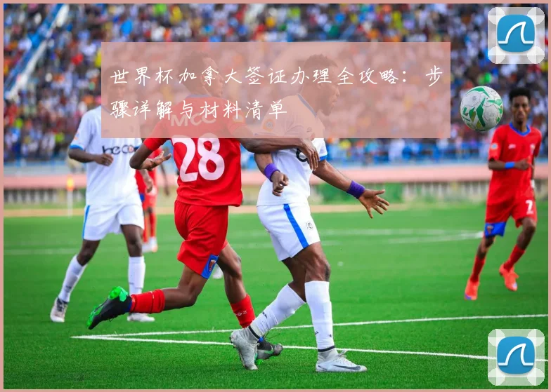 世界杯加拿大签证办理全攻略:步骤详解与材料清单